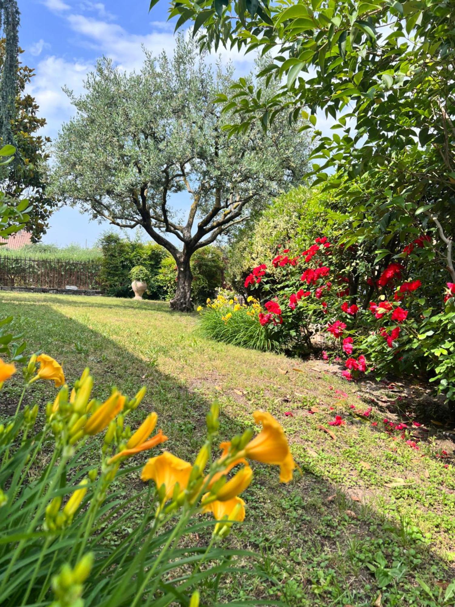 Residenza Borgo San Rocco Bed and Breakfast SantʼAmbrogio di Valpolicella Buitenkant foto